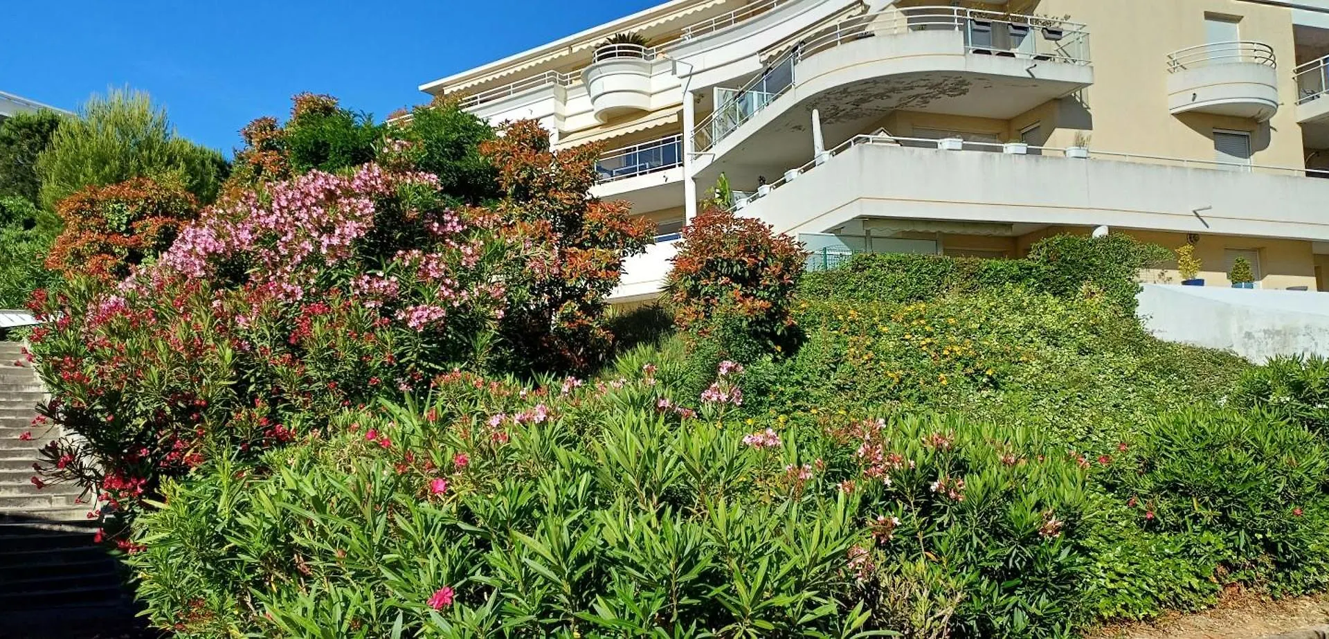 Antibes 3 Pieces Climatisees Dans Residence Avec Piscine 0*,  France